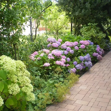 Pro 4 Osoby * Česká Skalice