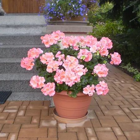 Pro 4 Osoby Apartmán