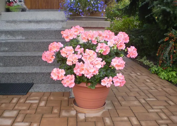 Pro 4 Osoby Appartamento